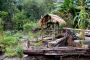 Amazonas06 - 153 * Even the dog house is prepared for rain and flood.